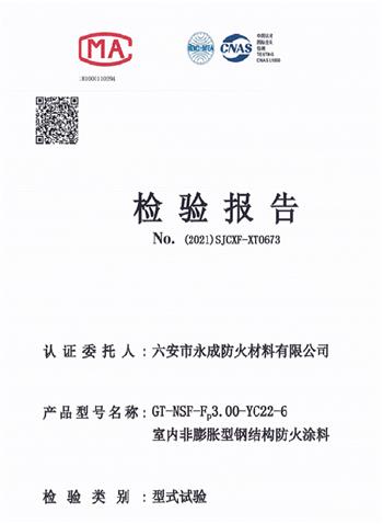 型式實(shi)驗報告(gao)